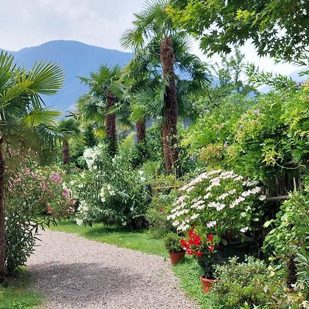 Nora S Home 5 - Panoramic Terrace & Bio Garden Merano Exterior foto