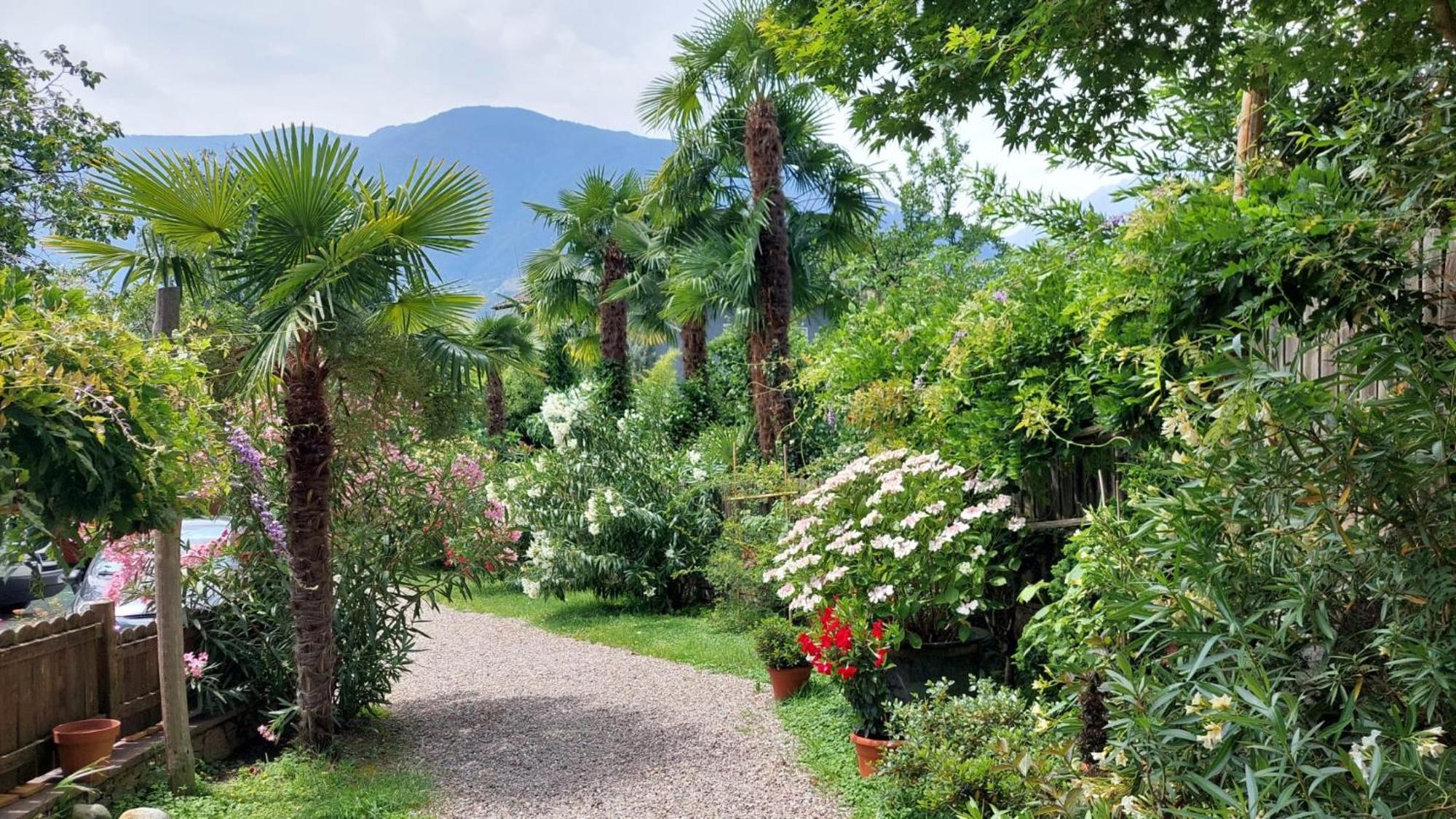 Nora S Home 5 - Panoramic Terrace & Bio Garden Merano Exterior foto